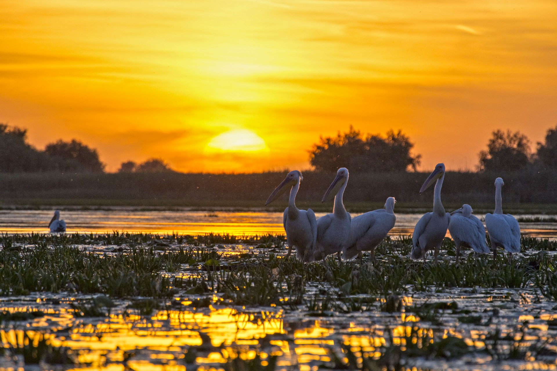 Donaudelta | Wunderschön