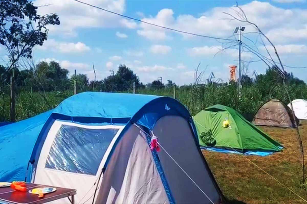 Donaudelta: Camping | Fahrradtouren | Bald wieder