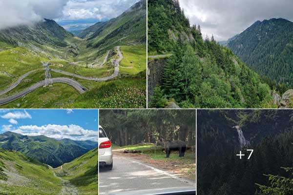 Transfagarasan | Sibiu County