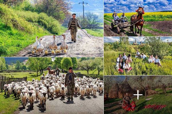 h3bu1ktl8tafbsksgshgtt96j12r5b