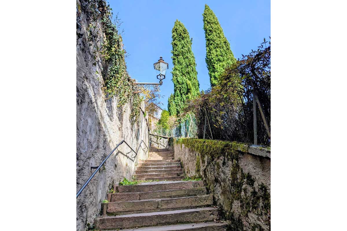 insiubn4ejl6bhdpmtolpvo0nf6ght