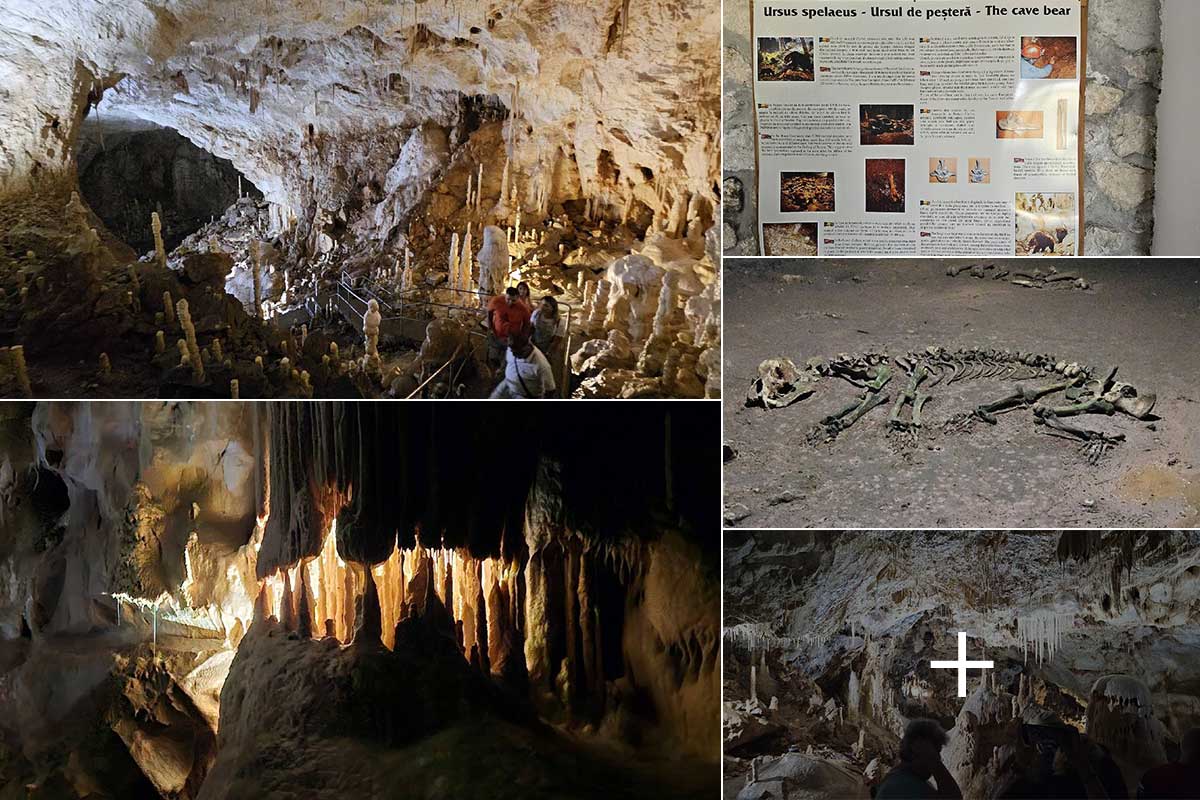 Die Bärenhöhle von Chiscau | Landkreis Bihor