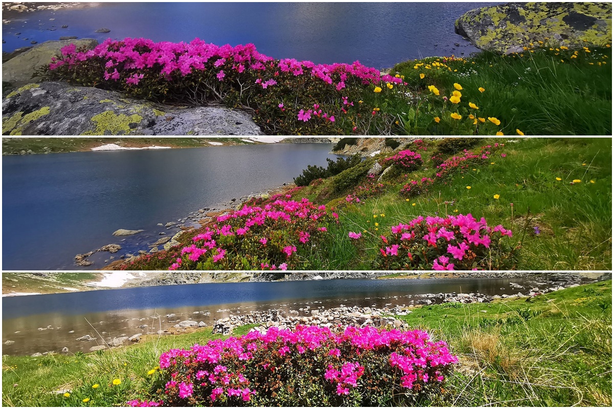 Bucura Lake, Hunedoara County