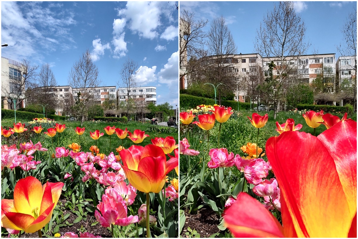 Spring in Galati