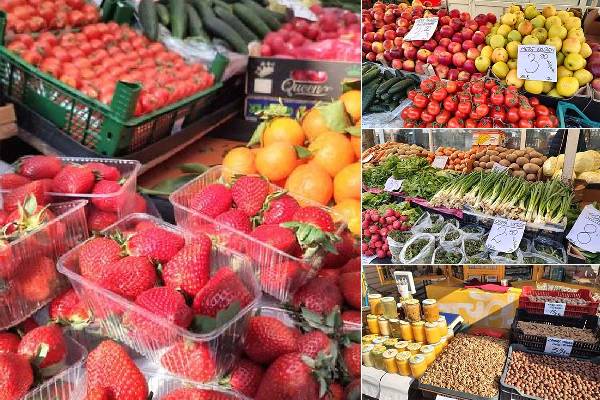 jeb37vs5fish4h5cg743hckojkz3nd