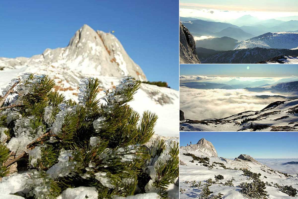 Vârful Piatra Iorgovanului, Județul Hunedoara