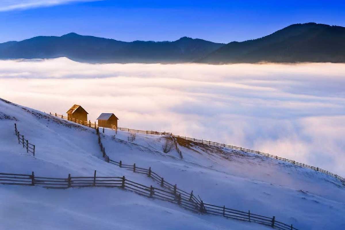 jxrcviq09un2u0k99h53q3cs5o86j9