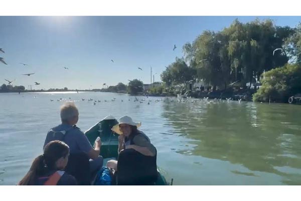 Pe Dunăre, în Delta Dunării 😍😍🇷🇴 Imagini de la începutul lunii august 2026