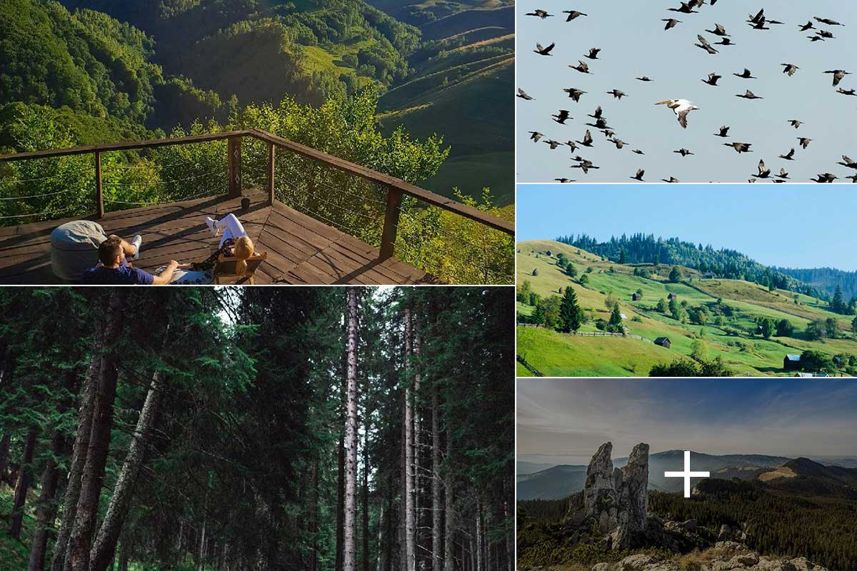 kcep29s5617ih0bvfd6d63f9p9ct08