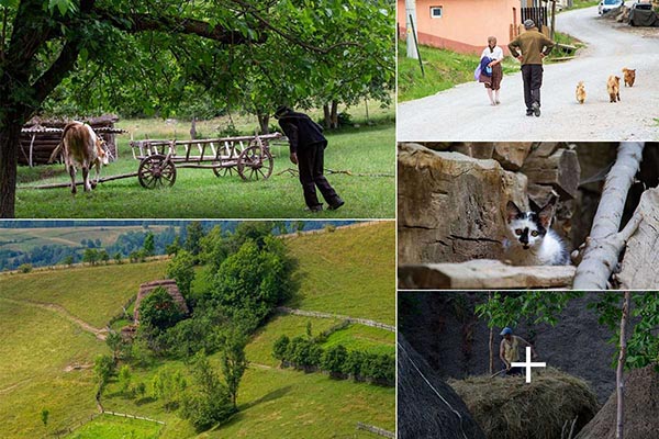 kprgvuz4k8yk8fhuv0v2c5wmm1f8r6