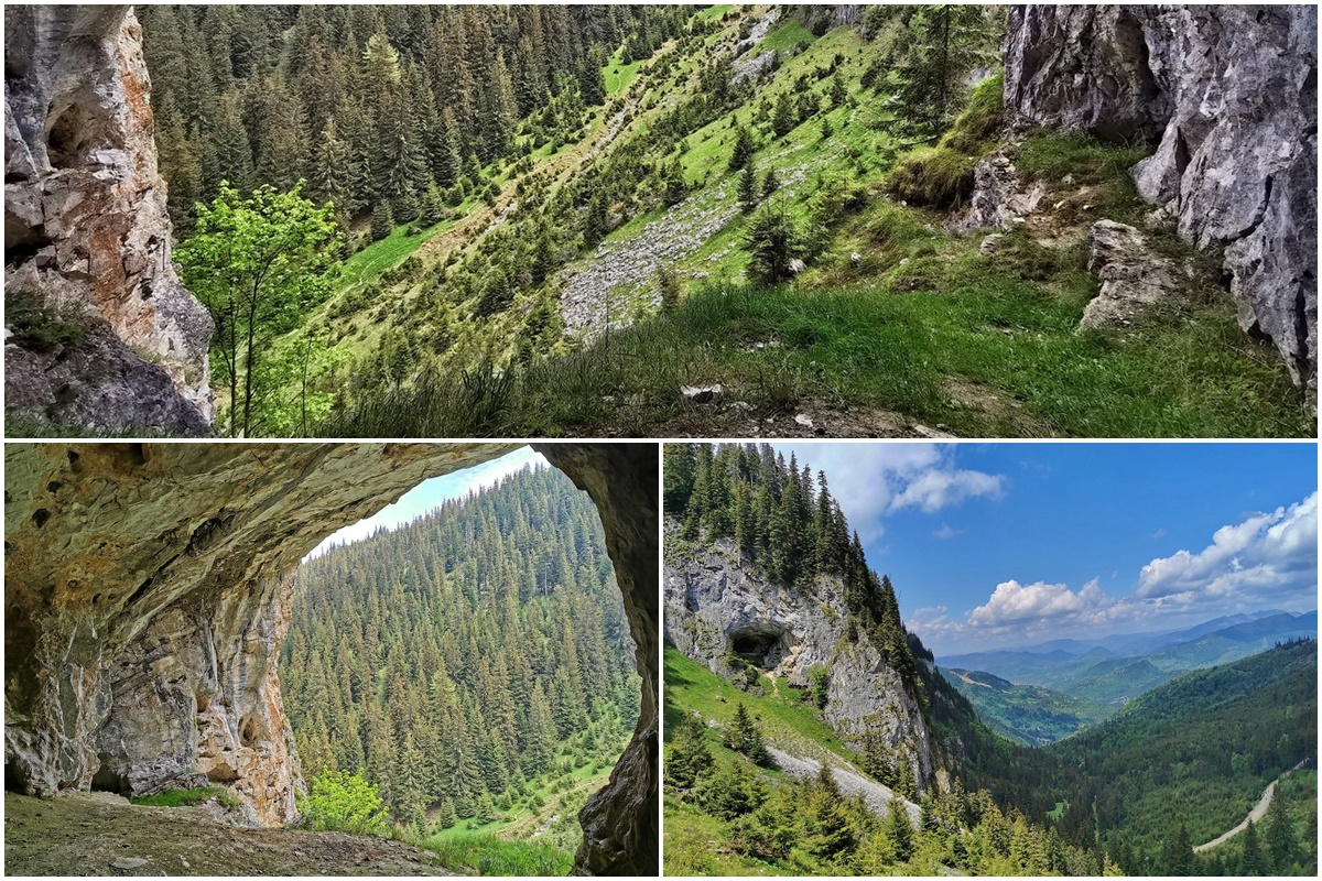 Piatra Rea Cave, Maramureș County