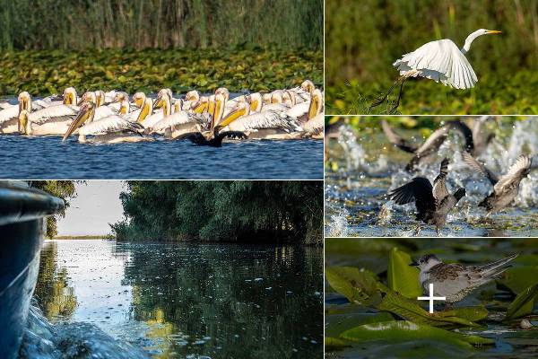 l0dcgyskg8jjpje7hmw74wz1jof1fe