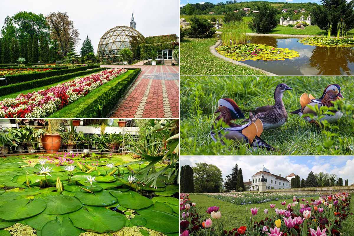 Botanischer Garten in Jibou | Landkreis Salaj