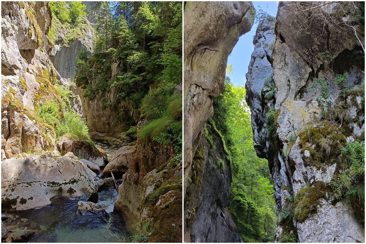 Cheile (Schlucht) Butii | Retezat Gebirge | Landkreis Hunedoara