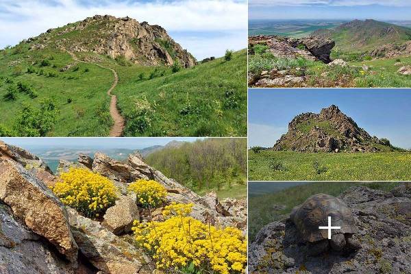 mg8l5sqn69l7gbzvt49mh615i2es17