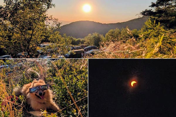 Sonnenfinsternis ... erlebt auf der Schwarzwaldhochstraße