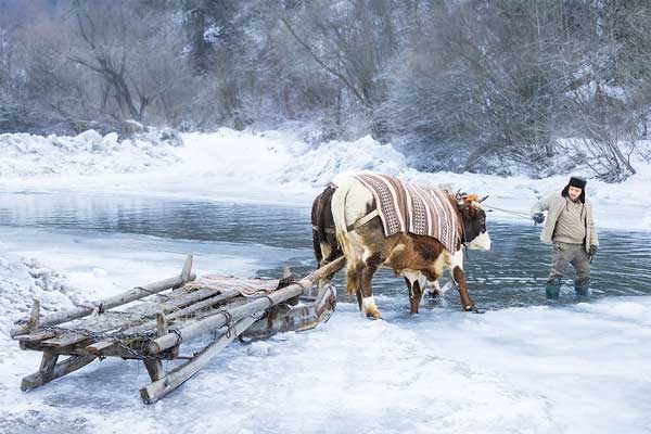 mjufvv5uhyxm7dmdj1askfzqr1ogmw