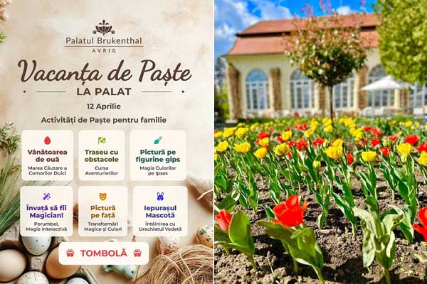 mld55xep2vlcsowenzvun8jf24wham