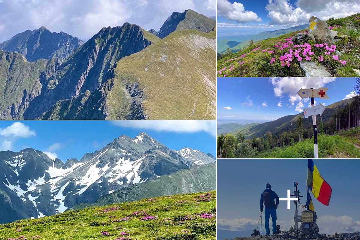 n249k6ktsm1scnj8dxu607yng0uidy