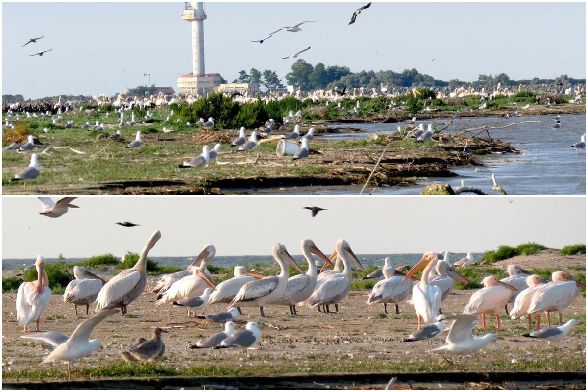 Sulina | Donaudelta | Schwarzes Meer