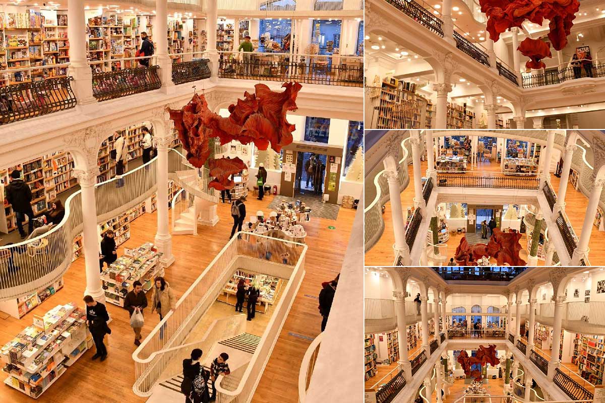 nk4okdehtiuubmeo7or585woooh0kt