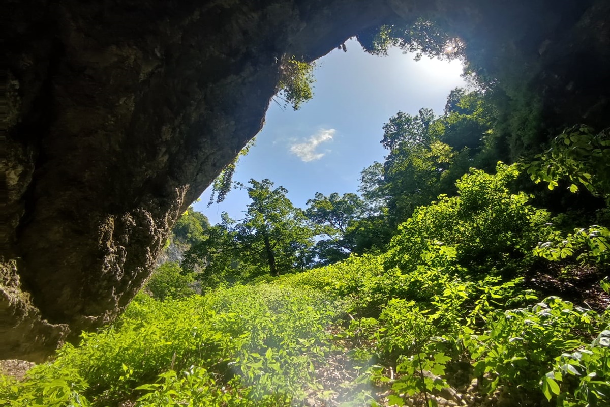 Pestera Ursilor | Bärenhöhle | 19. Juli 2023