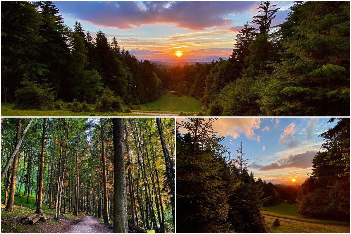 Abendstimmung in Poiana Brasov