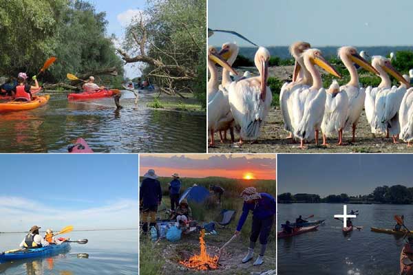 pa2fv1y2d7xo14176w6upmlvi7149n