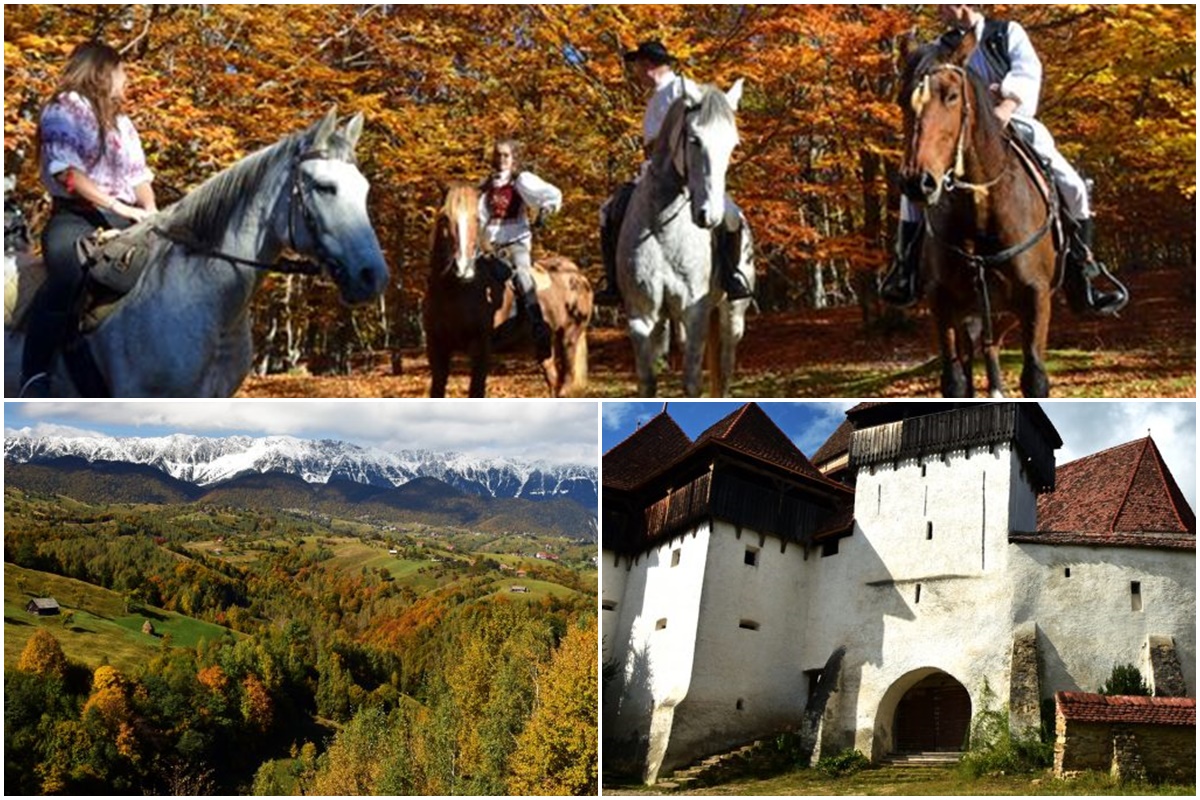 Kultur, Abenteuer, Entdeckungen, Urlaub und viiiiel mehr ...