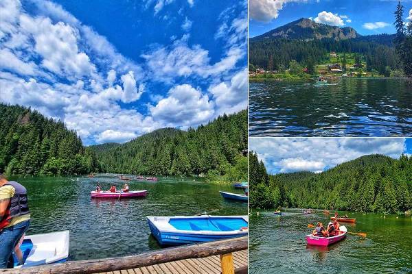 pu6t1rln1u5zmi3gehph9nufpk5ipx