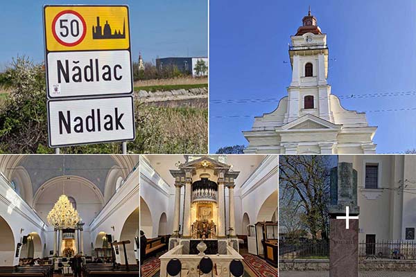 purjv17v6jfk8or1uvbn816uq6r9wy