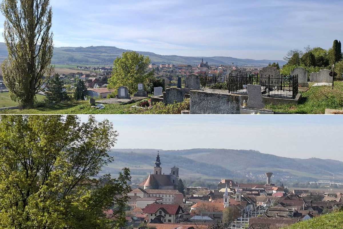 pv73bjw49d5wf7ug4rn2s4zix8qzcg