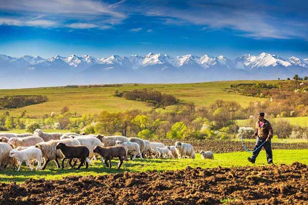 pyw7dep0d4n0sm9mbigugsseoti86t