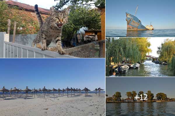 A Tiger & the Danube Delta | Impressions (Part 1 of 3)