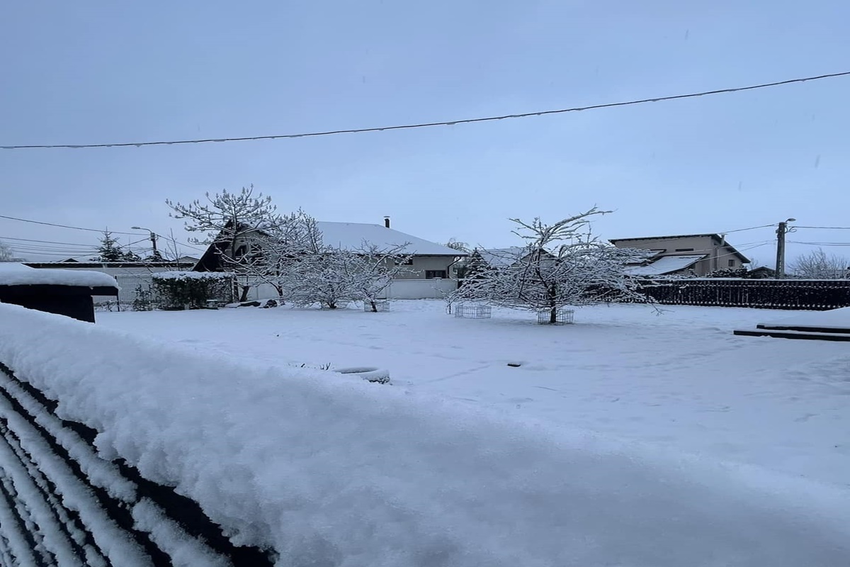 Primăvară timpurie 😱 în Brașov | Astăzi