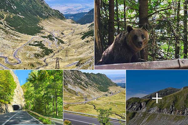 qgsmgcunn3y15reqd8b2oeevovh6wt