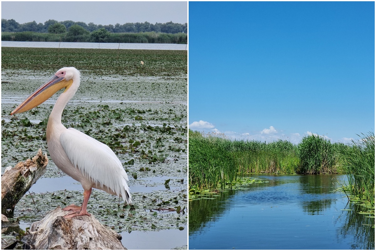 Ausflüge in das Donaudelta - Wunderschön