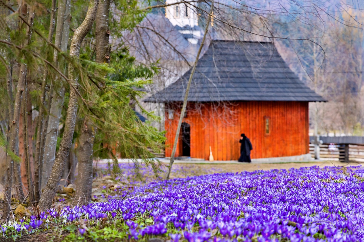 Sihastria Putnei Monastery