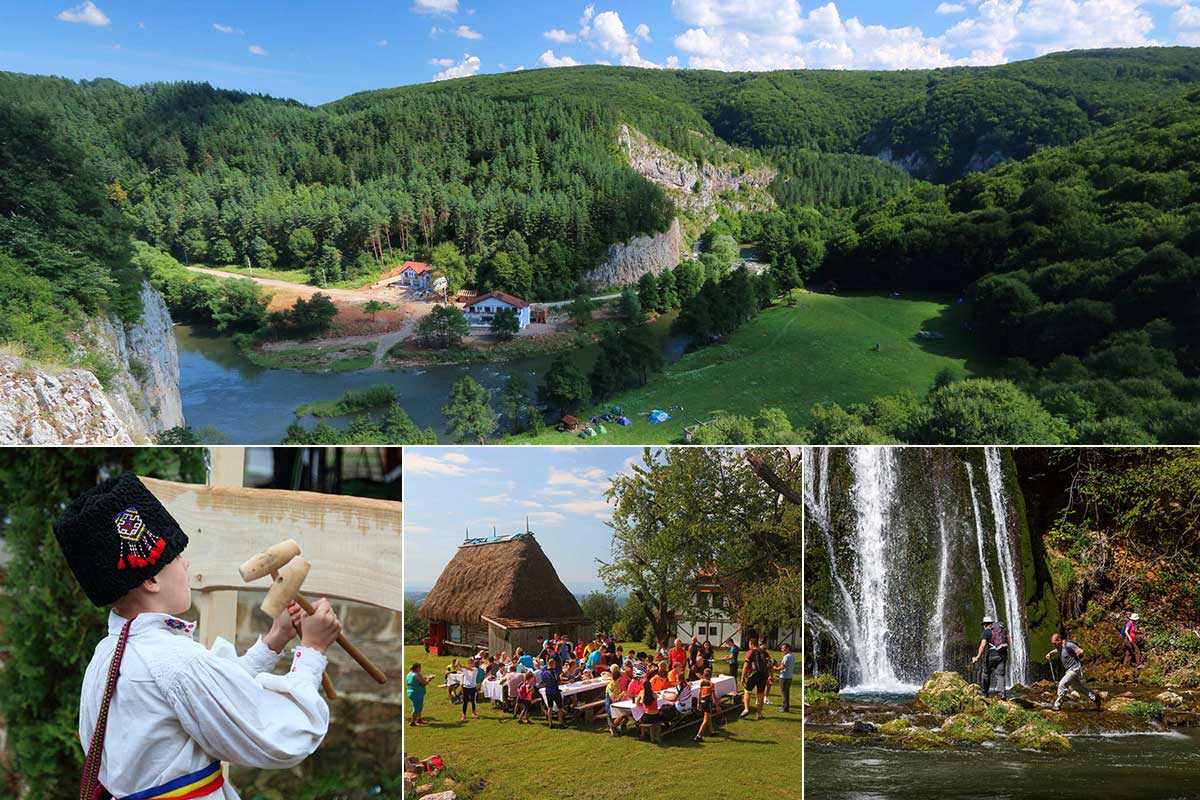 Fairytale images of the forest of Craiului | Apuseni Mountains
