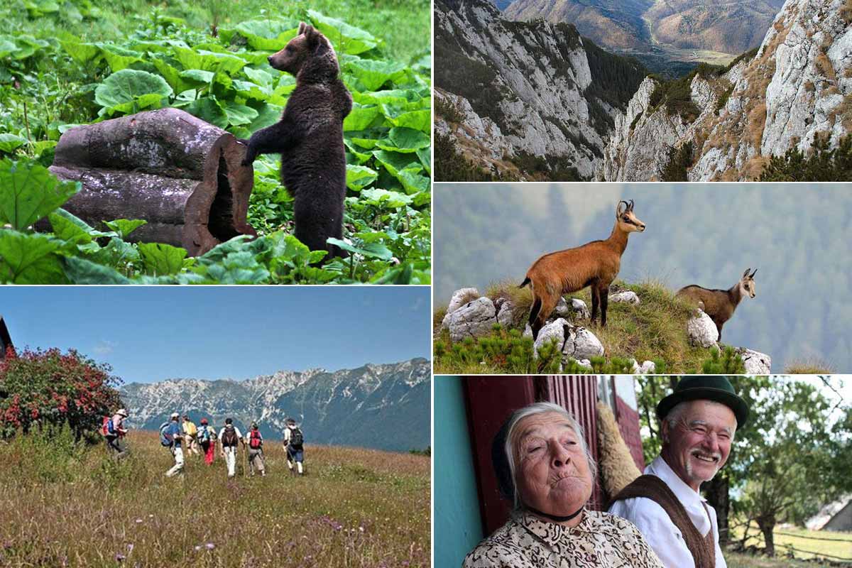 Saubere Natur im Nationalpark Piatra Craiului