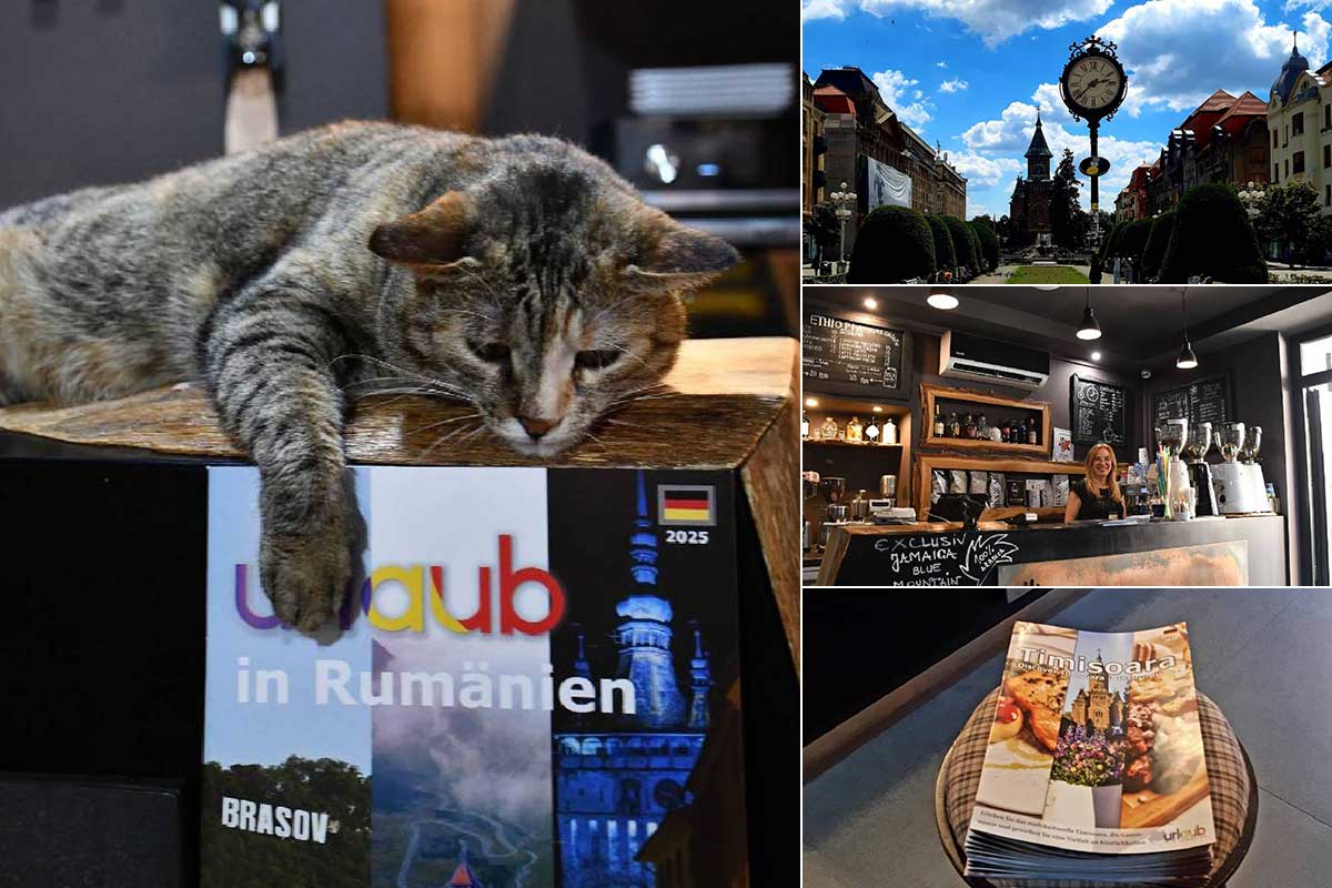 r10uju8j4ye0jh1lm9yoymlgt4ymyc