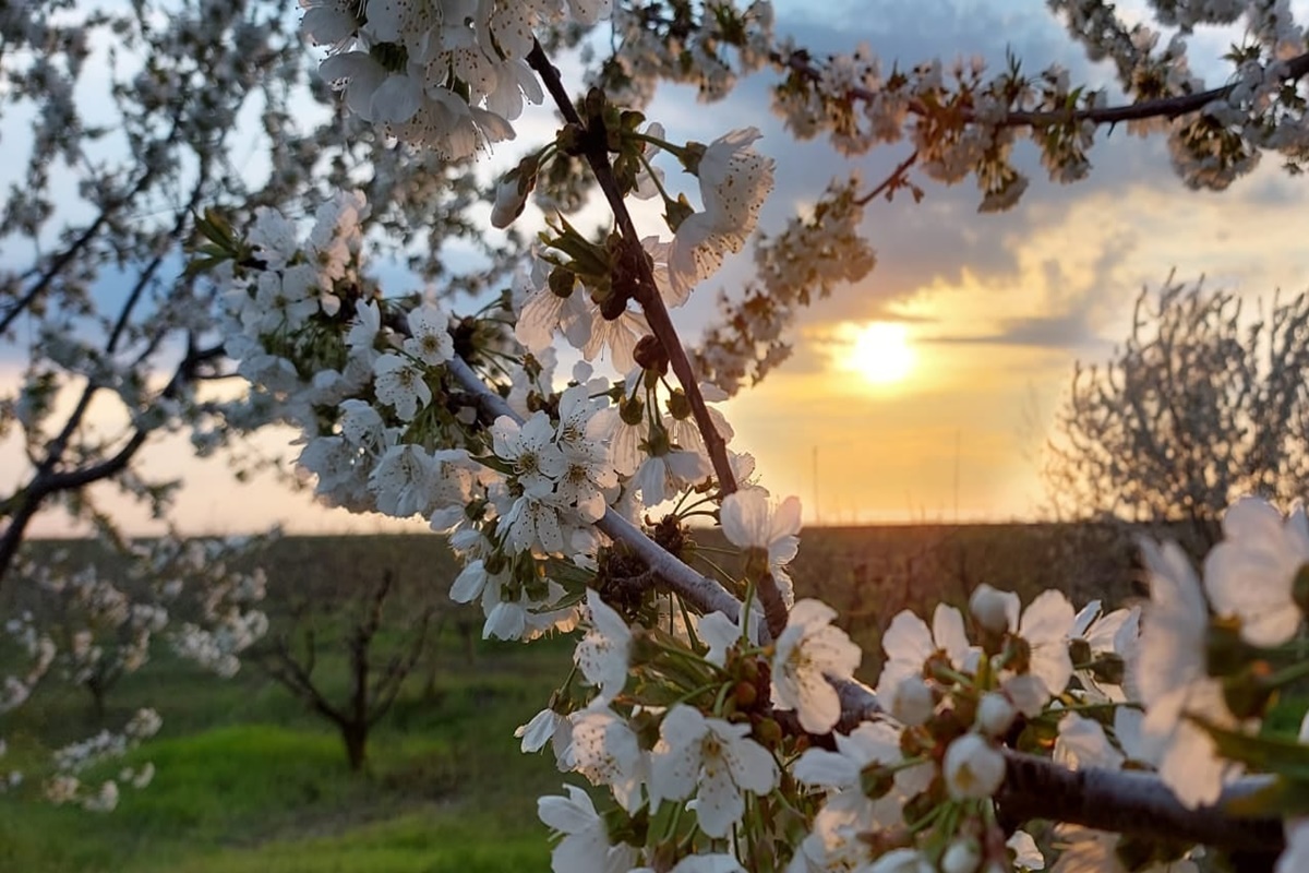 Evening atmosphere... 2 years ago, near Galati...