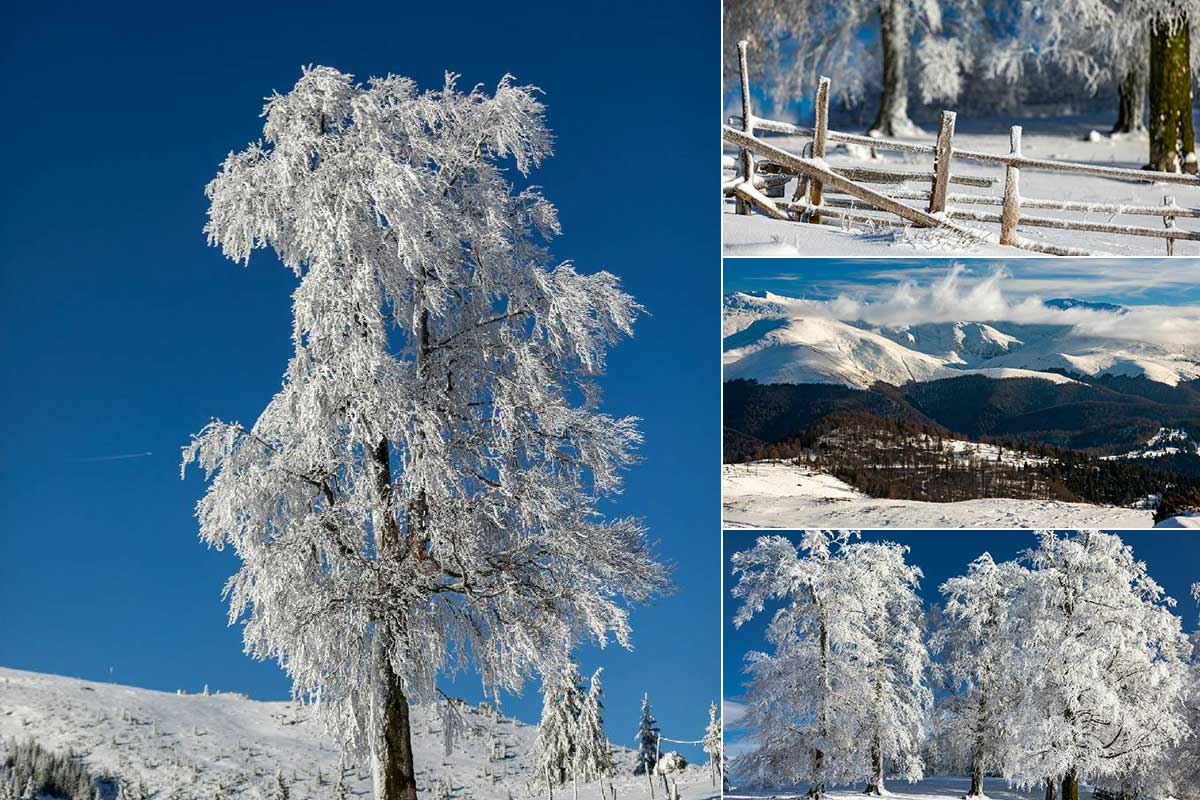 r4f5hfl9pxwrgqqv082dqecb55zkh5