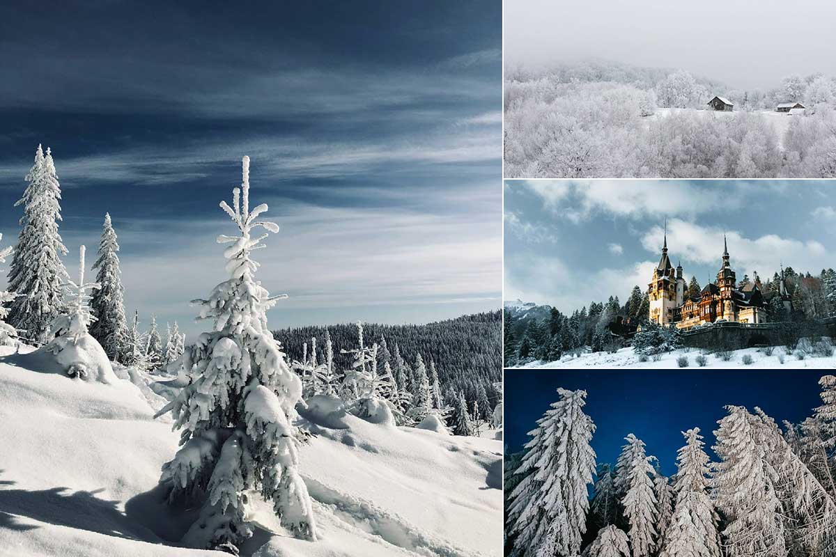 r8mck63v5zwrp54awide03t83mn002