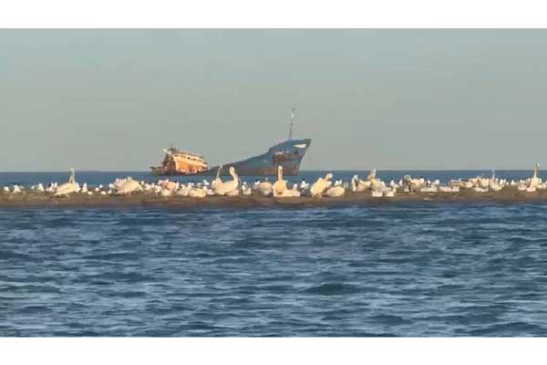 Sulina, Donaudelta, Leuchtturm, Schwarzes Meer und viele, viele Pelikane