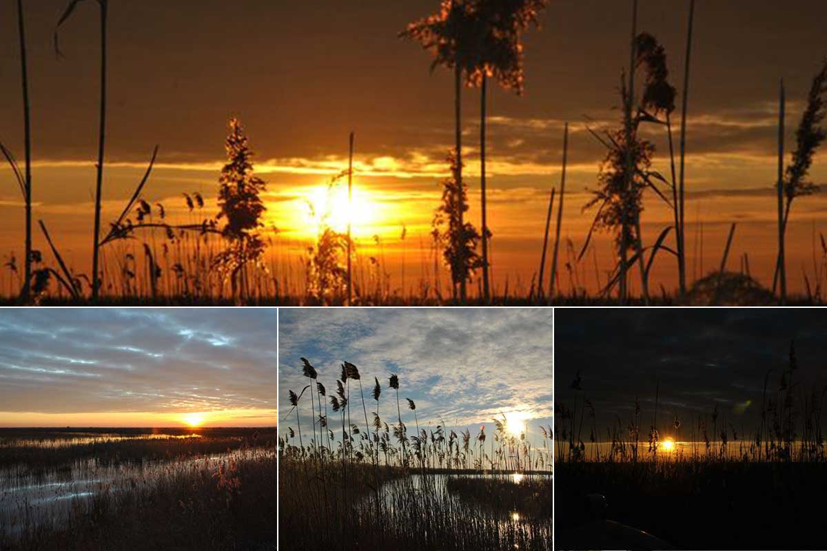 Evening atmosphere in the Danube Delta