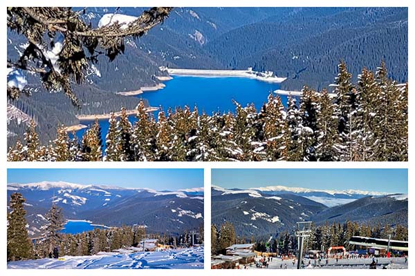 rlq09nyrisdiaqicho3r0kgahar0iy