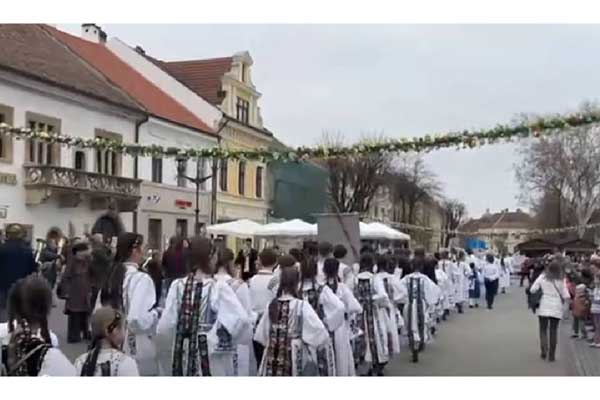 s1u859ajlu3k57pu0z3xj52sqlgetk