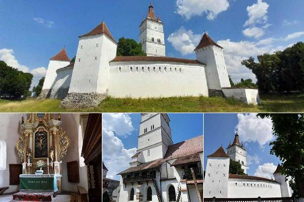 sashg9zqip0sm3gd67lse8y1g1txay