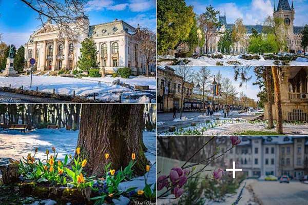 t6dpmiv2r49ka3832crvw2c62sk326